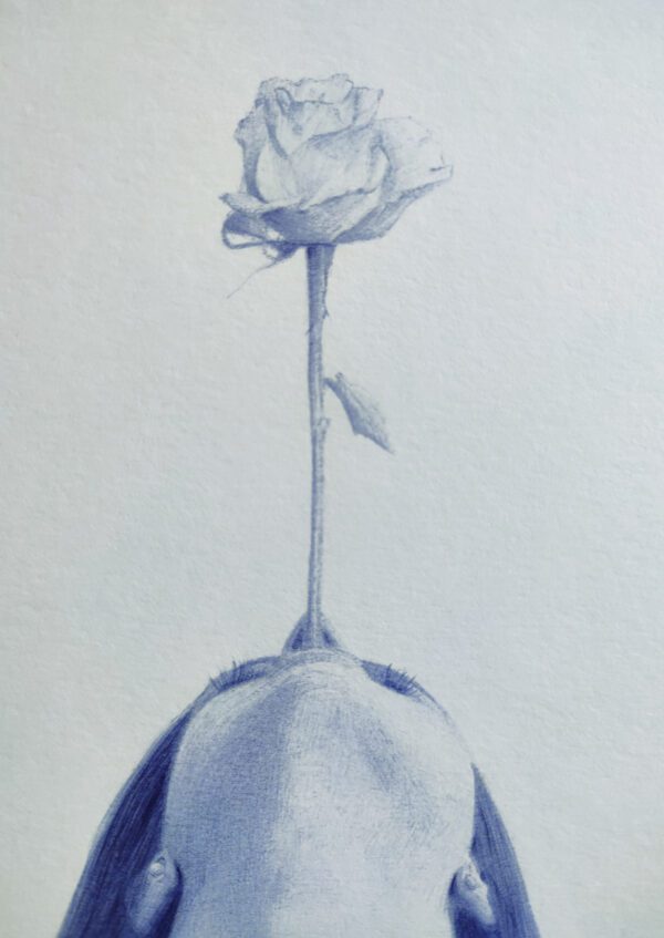 Rose, 2021 - Image 2