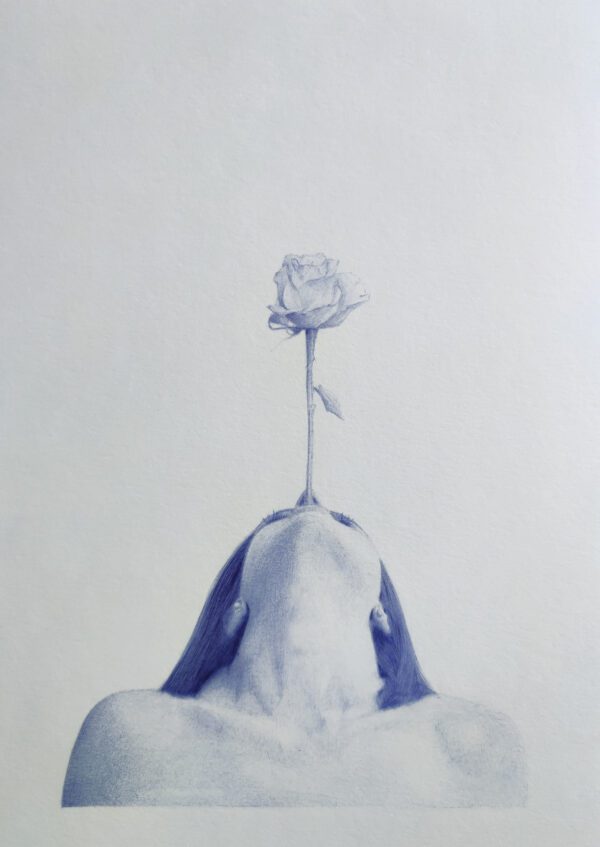 Rose - Jose Moreno Melli